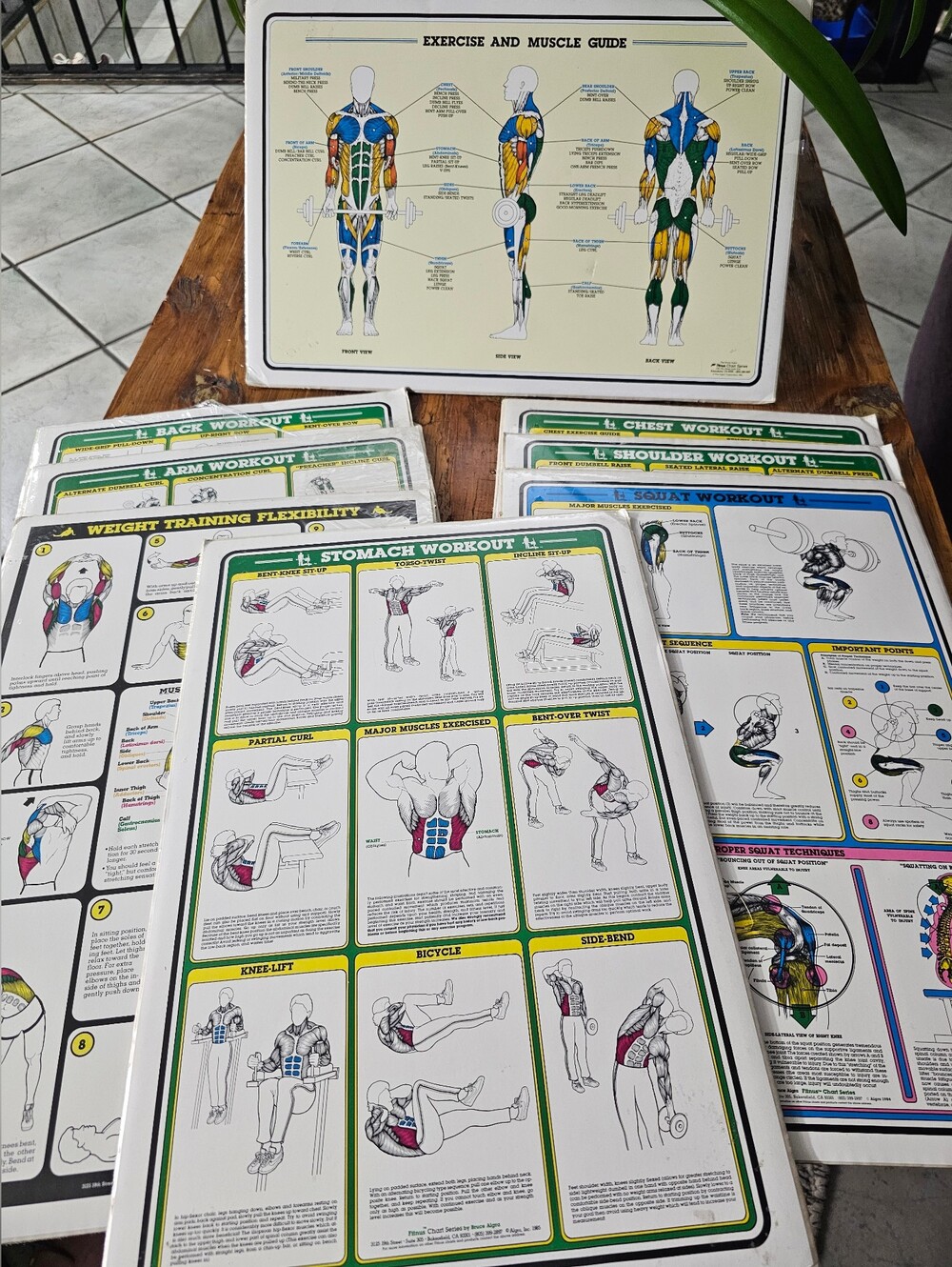 1984 Vintage Bruce Algra Workout Fitness Chart Series 16" x 11".
